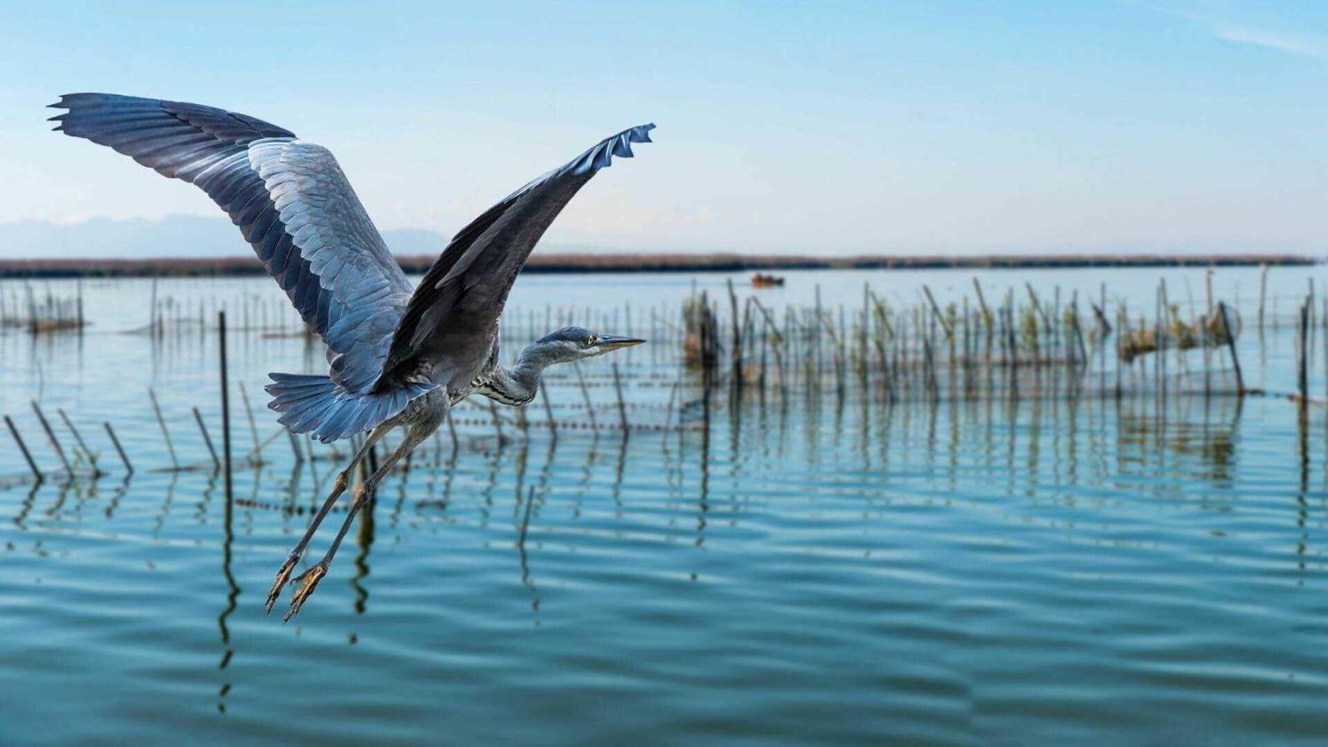 Albufera Dreams Nature Suites Walencja Zewnętrze zdjęcie